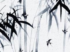 八字明星屬于什么 什么八字是明星命