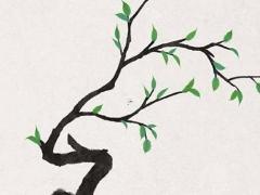 屬猴1992戴什么玉旺自己,1992年屬猴佩戴什么玉