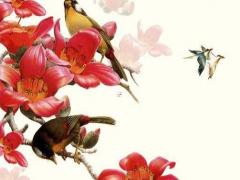 生辰八字代表什么吉兇運勢 生辰八字指的