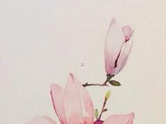 八字為什么那么神奇 為什么八字有好壞