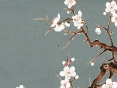 八字怎樣看什么是金星人 八字金星的查法