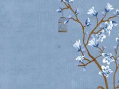 屬豬多大找對象最好,生肖豬適合多少歲結婚