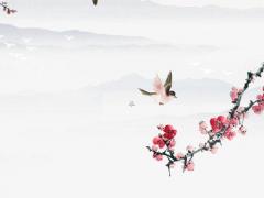 屬猴人找對象好找嗎,屬猴的適合找什么屬性的對象