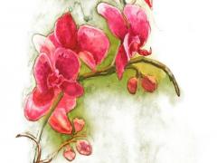 玩八字風水入門看什么書 風水看八字準不準