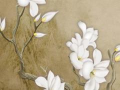 72年屬鼠的一生戴什么手鏈好,72年屬鼠帶什么首飾招財