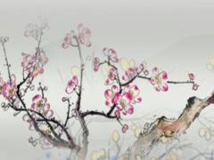 釣魚的八字環有什么用 釣魚八字環起什么作用