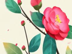 86年屬虎人一生命運 86年屬虎一生命運和婚姻