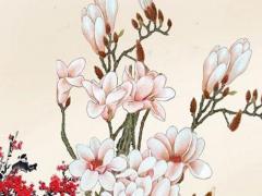 屬龍車牌帶什么字母數字最好,屬龍人車牌永久吉利的數字