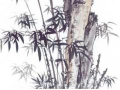 算命說二婚怎么辦 算命說我二婚