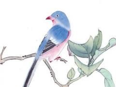 麥玲玲2023年屬虎運勢測算免費,麥玲玲2023年虎人運勢