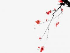 八字中的天格地格人格是什么意思 天格地格啥意思