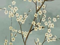 生辰八字另開是什么意思 生辰八字另開是什么意思呀