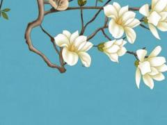 男腿八字腿穿什么褲子 男腿八字腿穿什么褲子好