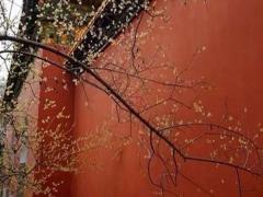 八字中的福祿壽指什么 八字福祿壽是什么意思