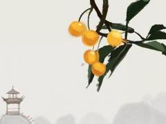 測兩人什么八字算有緣分 測兩個人是否有緣分