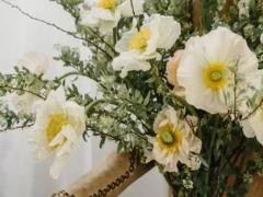 1月10日誕生石(生辰石):鑽石