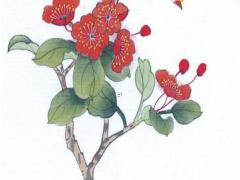 什么八字適合當軍人 什么八字適合參軍