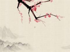 2023年屬猴人可戴猴吊墜嗎,屬猴的人可以帶猴吊墜嗎