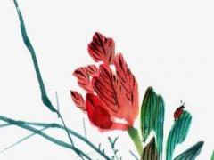 八字中每個字代表什么 八字里面每個字代表什么