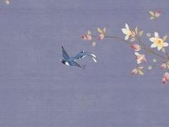 屬馬人水瓶座2023年運勢,屬馬人水瓶座2023年運勢怎么樣