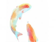 證明身份號查詢名字真實 證明身份號碼查查詢姓名