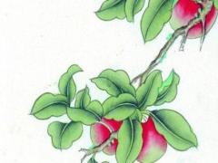 2023屬蛇人運勢豆瓣,蛇人2023年運程