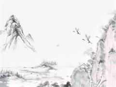 55歲的屬兔 56歲屬兔