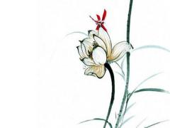 屬羊到2023年的運勢如何,屬羊人2023年運勢及運程每月運程