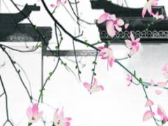 姓名五格數理測試 姓名測試五格算命