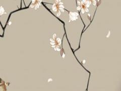 哪里有算命特別準的人 算命準的高人聯系方式