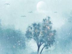 屬蛇屬豬婚姻,屬蛇屬豬相配婚姻如何