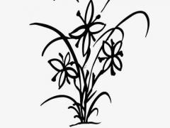 好聽的詩詞古文好名字大全 古文詩詞取名字