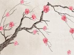 鄧超的生辰八字是什么意思 鄧超出生年月日八字