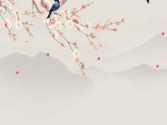 人的命運(yùn)怎么測(cè)算的 怎樣測(cè)算人的一生命運(yùn)