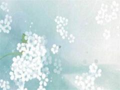 那么什么樣的八字格局是為無情呢 八字無格局的命局