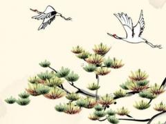 八字基礎(chǔ)入門看什么好 看八字基礎(chǔ)知識