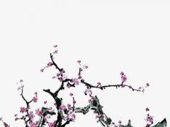 算命八字里回頭鹿是什么意思 回頭鹿有什么說法