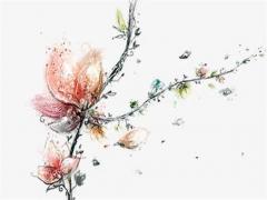 舊八字方針是什么時候提出的 新八字方針解釋