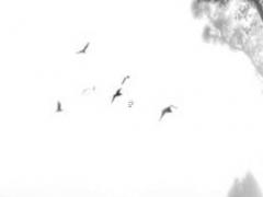 77年屬蛇人適合佩戴什么飾品,77年屬蛇的帶什么東西運氣好