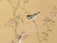 固執(zhí)的傻 固執(zhí)的腦袋