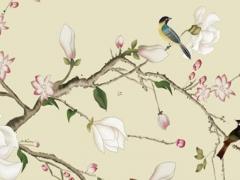 八字中的災煞指什么 八字里的災煞