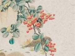 87屬兔男和88屬龍女,87屬兔男和88屬龍女的婚姻