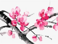 屬蛇人在2023年每月 屬蛇人2023年每月運勢及運程詳解