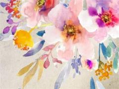 屬鼠和屬兔的姻緣如何,生肖屬鼠和屬兔婚姻如何