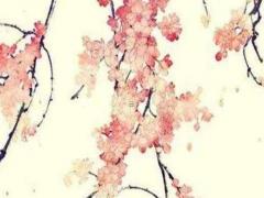 八字有多少個煞是什么意思 八字一共有多少個神煞