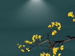 屬鼠的結(jié)婚月份是幾月 生肖鼠結(jié)婚月份