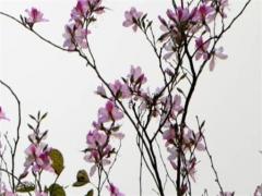 什么樣的姻緣是好姻緣 什么樣的人姻緣不好