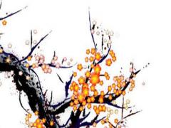 生辰八字四柱各代表什么意思 生辰八字四柱解析