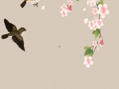 2023年屬水兔寶寶取名宜用字,2023水兔命