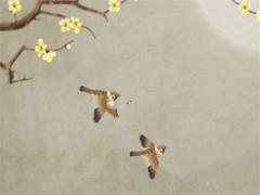 哪個星座男人好